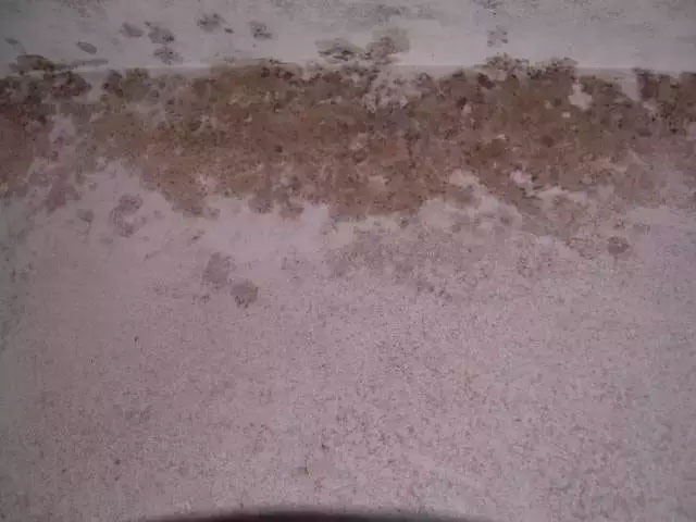 ā?zh��n)ӷ۵?��Ҋ(ji��n)��(w��n)�}����Q�k��